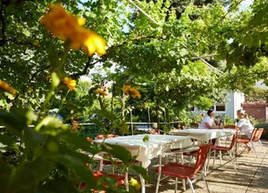 Image of Weingut Pension Sommerhof