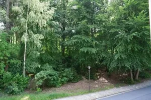 Image of Hotel Berggasthof Waldlust