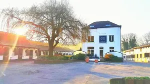 Image of Ariosa