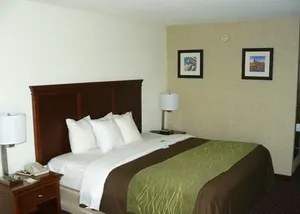 Image of Quality Inn Opryland Area