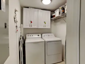 Image of Turtle Walk 601