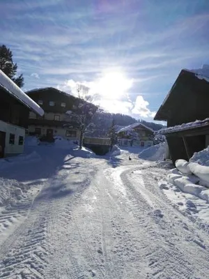Image of Palfengut