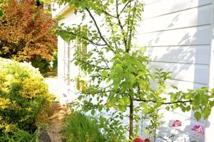 Image of The Glass House Boutique Accommodation