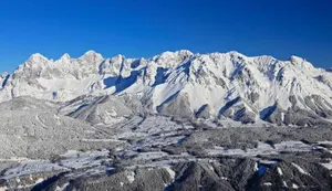 Image of Alpenperle