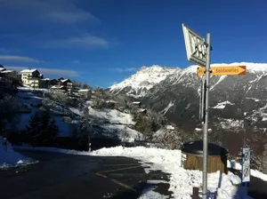 Image of Les Soldanelles