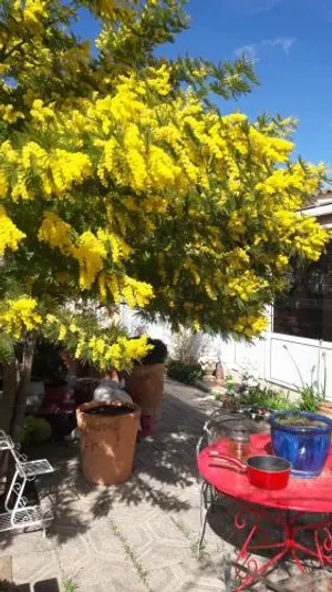 Image of Sous le Soleil