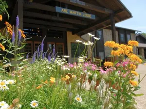 Image of Abe Martin Lodge & Cabins