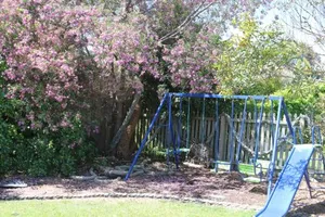 Image of Sisters Beach Paradise