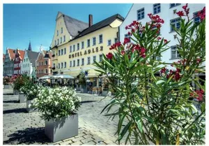 Image of Hotel Adler