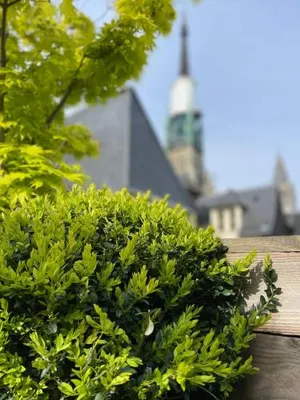 Image of Hôtel De La Cathédrale