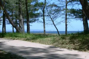 Image of Ostsee Strandhaus Seerobbe