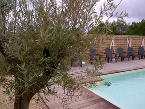 Image of Studio Cosy