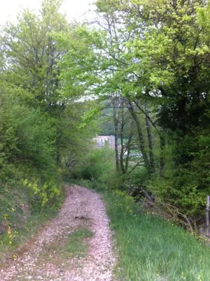 Image of L'Auberge