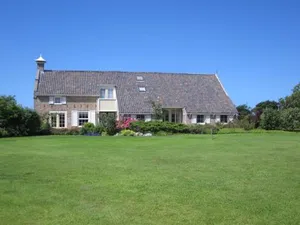 Image of Meeuw