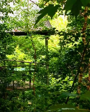Image of Birches Luxury Spa Chalets