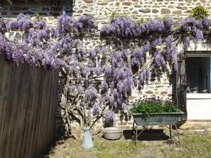 Image of Fermette dans les pays de la Loire