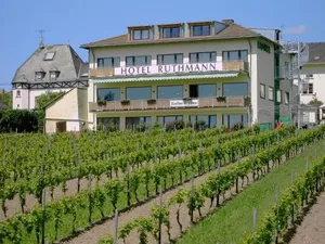 Image of RUTHMANN-Rheinblick GARNI
