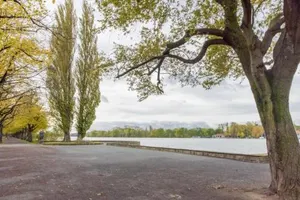 Image of 6448 Private Room 1 Person