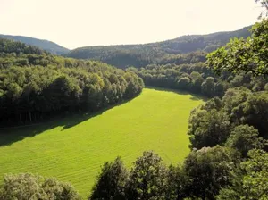 Image of Hotel Weisser Hirsch