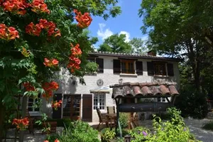 Image of Le Petit Canard