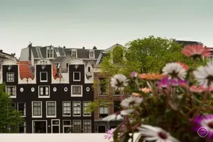 Image of Museum City Centre Apartment