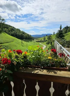 Image of Eisenmannhof