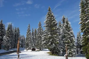 Image of Hôtel Chalet Le Caribou