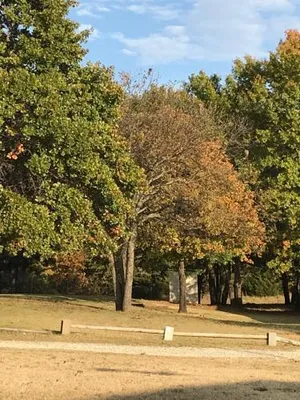 Image of Arrowhead Point Lodge