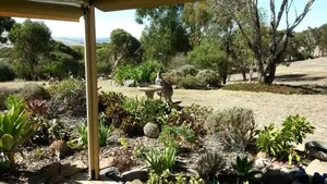 Image of Austiny Bed and Breakfast Victor Harbor