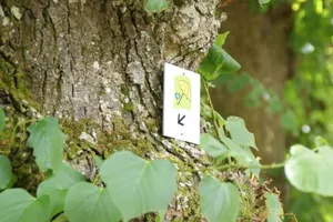 Image of Bertricher Hof