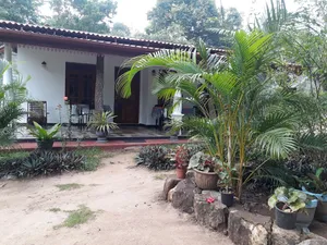 Image of Danara Homestay
