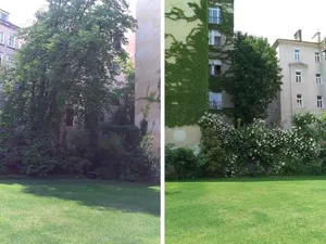 Image of Garten Apartment Grunentorgasse