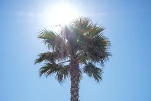 Image of Marino Mobil-Home