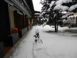 Image of Alpen-Appartementhof