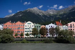 Image of Schwarzer Bär