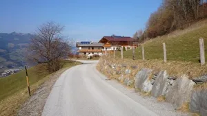 Image of Eisbauer