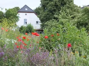 Image of Vlierhof