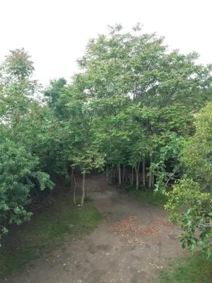 Image of Apartment Albert parking privé gratuit