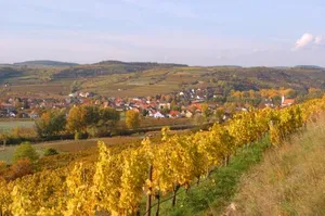 Image of Prabatsch-Aichinger Winzergut