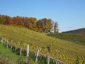 Image of Weingut Dietl