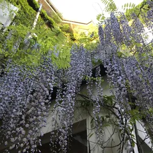 Image of Hotel Wiener Kindl