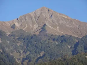 Image of Seeli