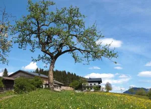 Image of Unterhofgut
