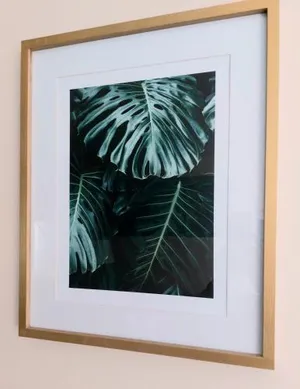 Image of Les Belles Terrasses Dieppe ,3 appartements , LE VEGETAL de 1 à 8 personnes , LE TROPICAL de 1 à 6 personnes , LE FLORAL avec TERRASSE de 1 à 3 personnes , quartier calme au stationnement gratuit à coté de l'avenue verte