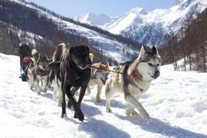 Image of Le Chalet Viso Auberge gite