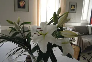 Image of Clos des Secrets - Chambres d'Hotes
