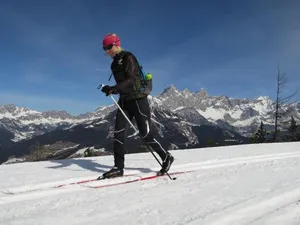Image of Austrian Alpine Apartments