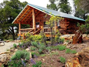 Image of Abajo Haven Guest Cabins