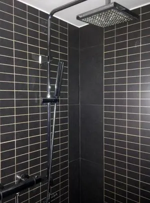 Image of Appartement le Saint James