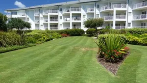 Image of SaltBeach2302